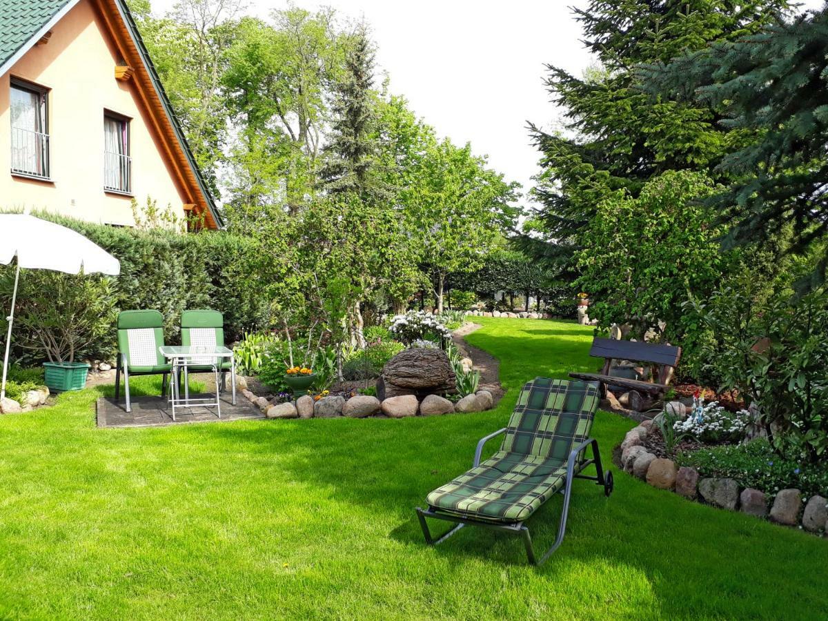 Pension Zum Weissen Hirsch Reitwein エクステリア 写真