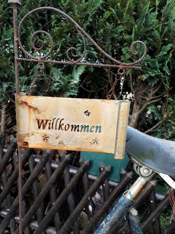 Pension Zum Weissen Hirsch Reitwein エクステリア 写真