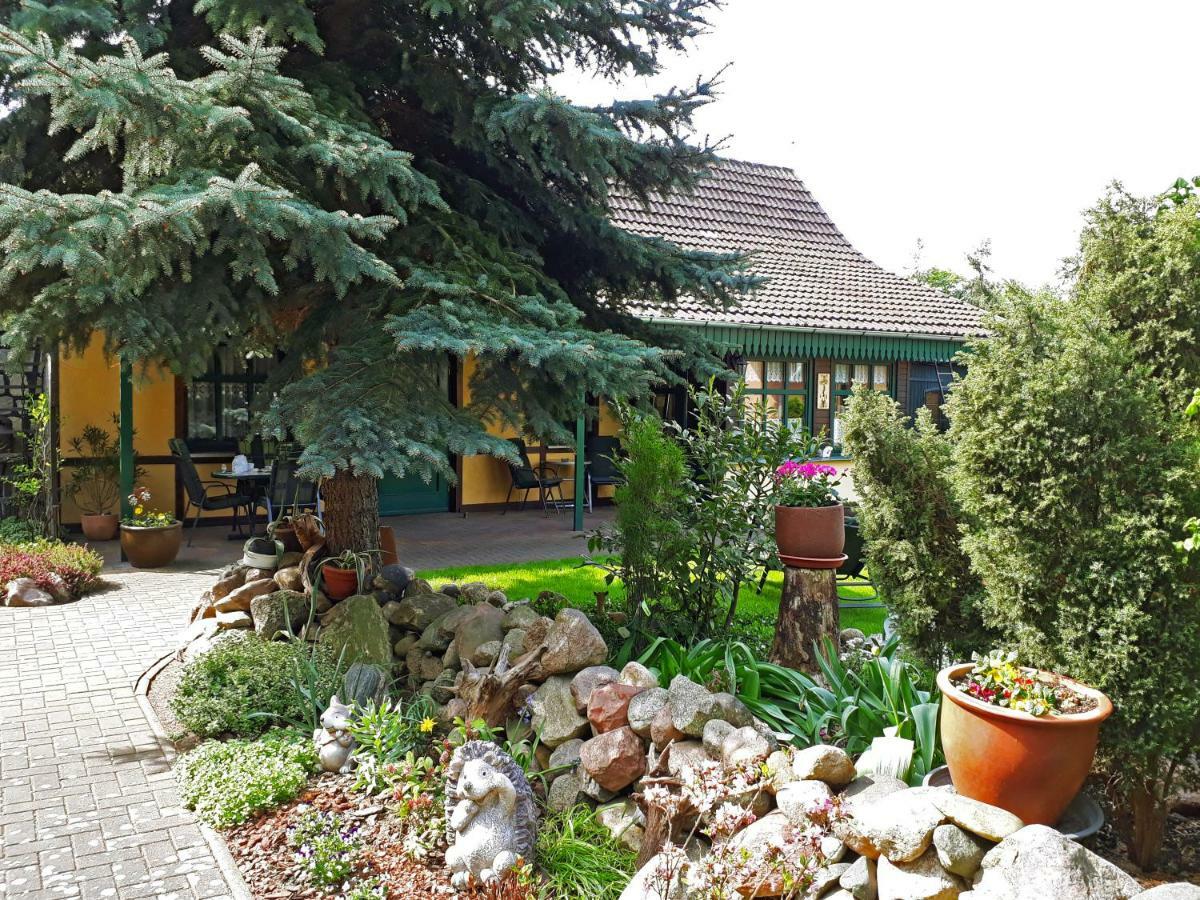 Pension Zum Weissen Hirsch Reitwein エクステリア 写真