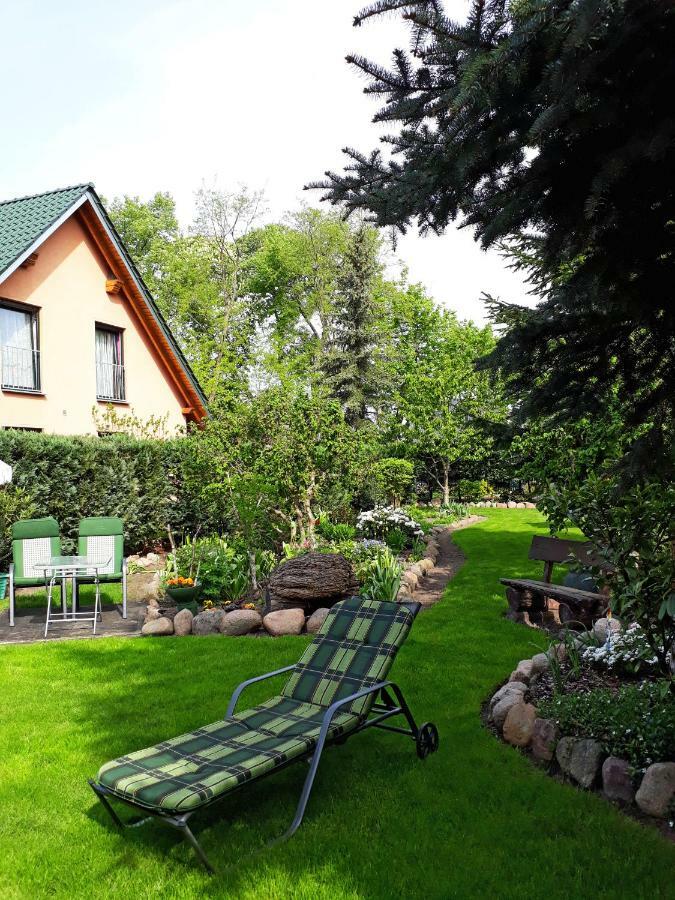 Pension Zum Weissen Hirsch Reitwein エクステリア 写真