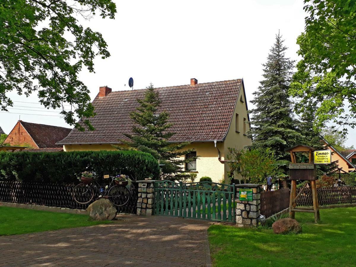 Pension Zum Weissen Hirsch Reitwein エクステリア 写真