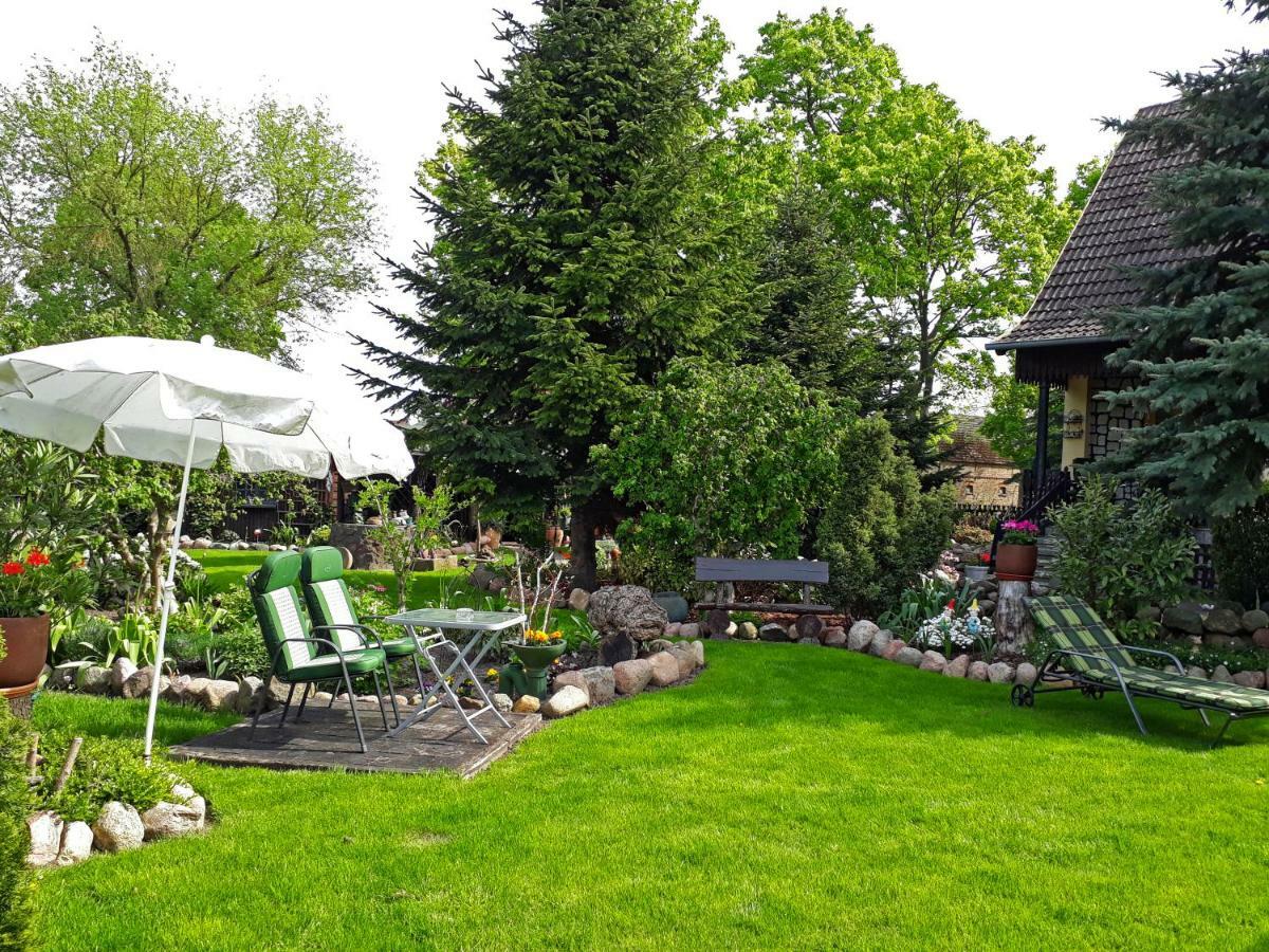 Pension Zum Weissen Hirsch Reitwein エクステリア 写真